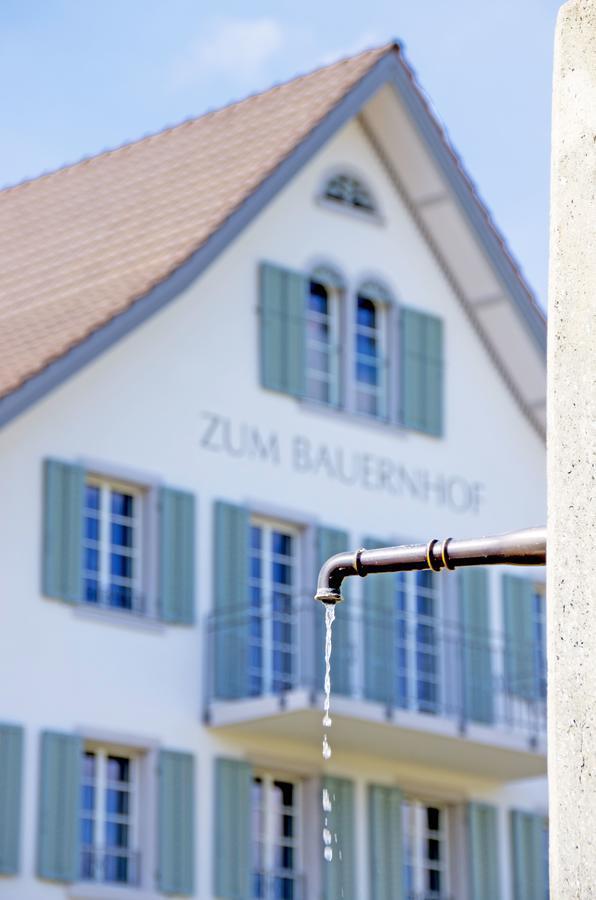 Gasthaus Zum Bauernhof Oberlunkhofen Экстерьер фото
